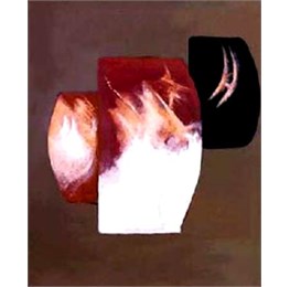 Dimensioni 80x100 (Tecnica mista)