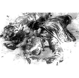 L'incidente del passo di Djatlov