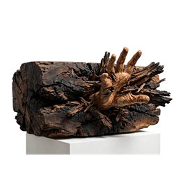 La forza della vita - (60×40×35)