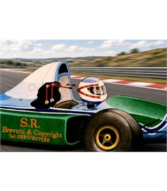 Casco di sicurezza per piloti di F1