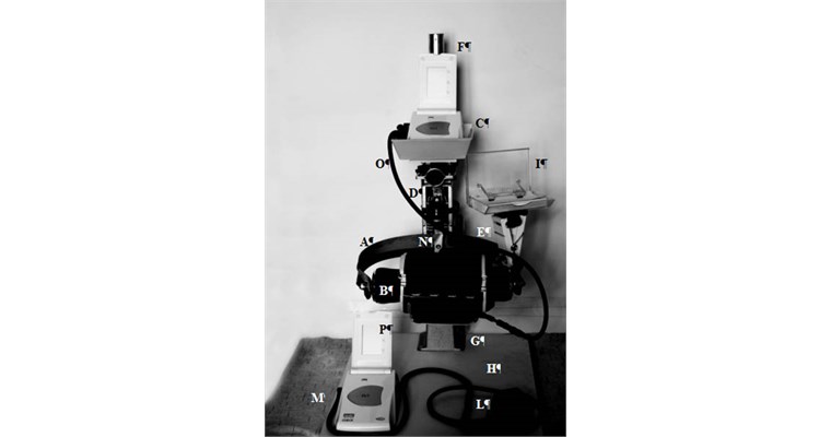 Apparecchio visto dalla parte anteriore