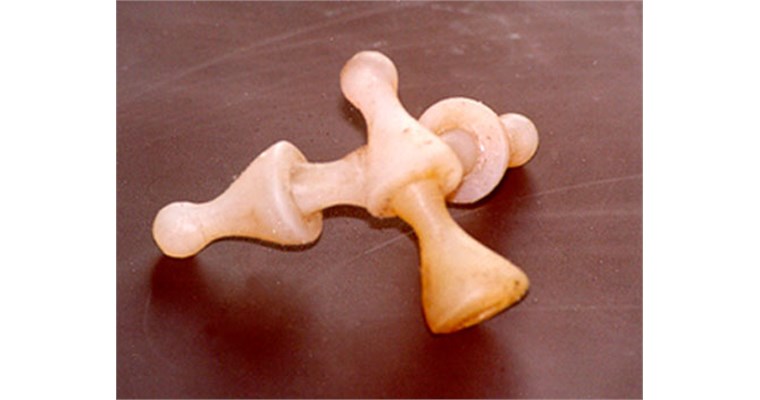 Le ''Bio-costruzioni''